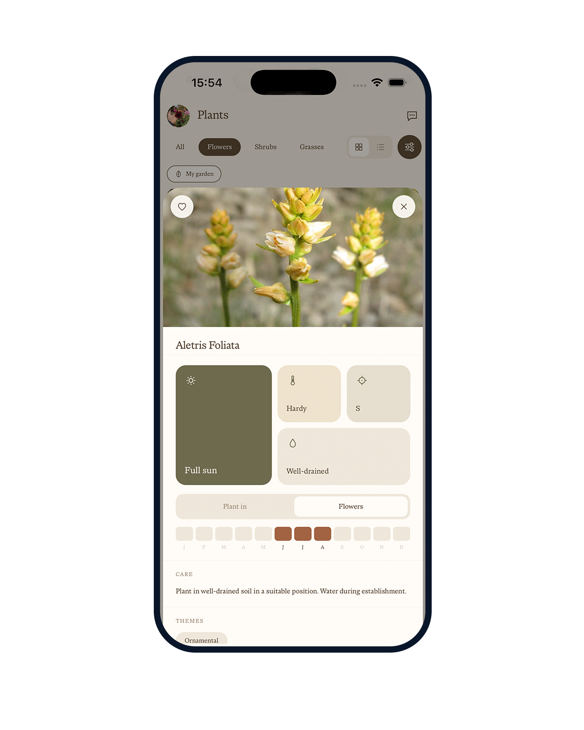 Fenn — Personalised care