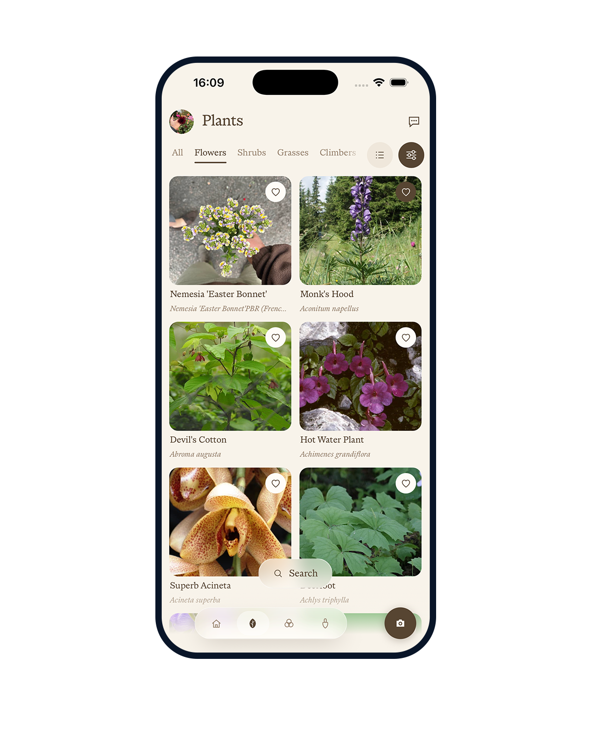 Fenn — Plant identification