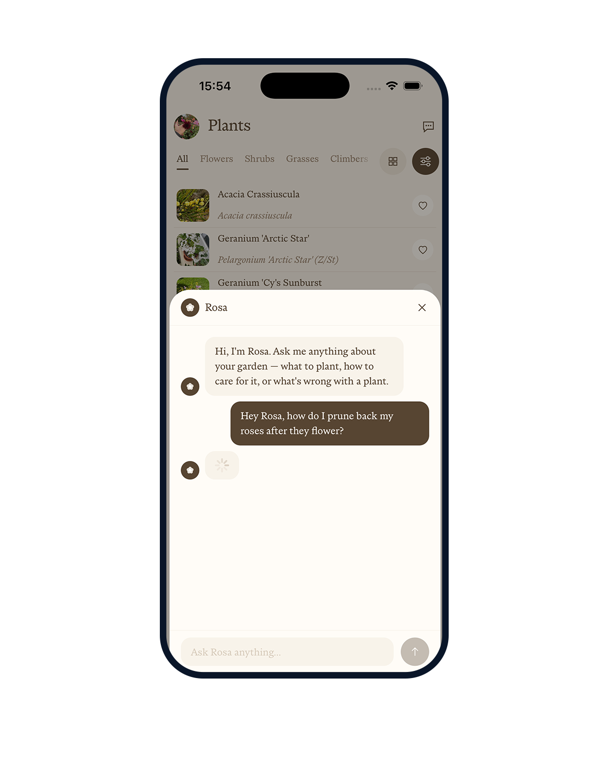 Fenn — Rosa, your AI companion